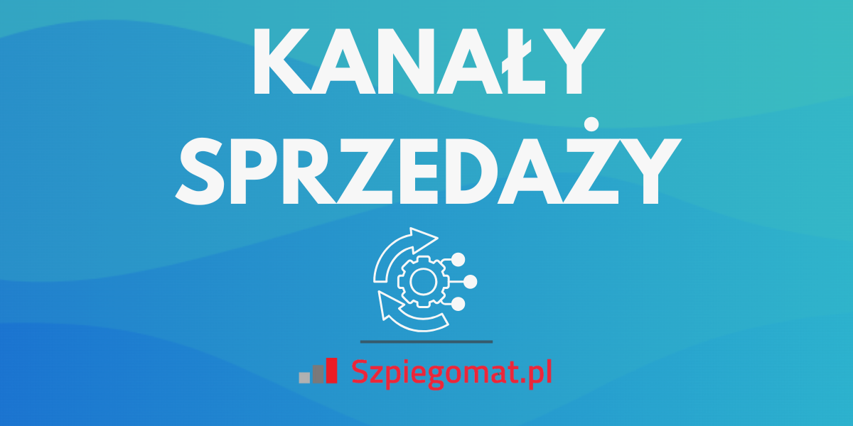 Kanały sprzedaży w e-commerce – jakie wybrać