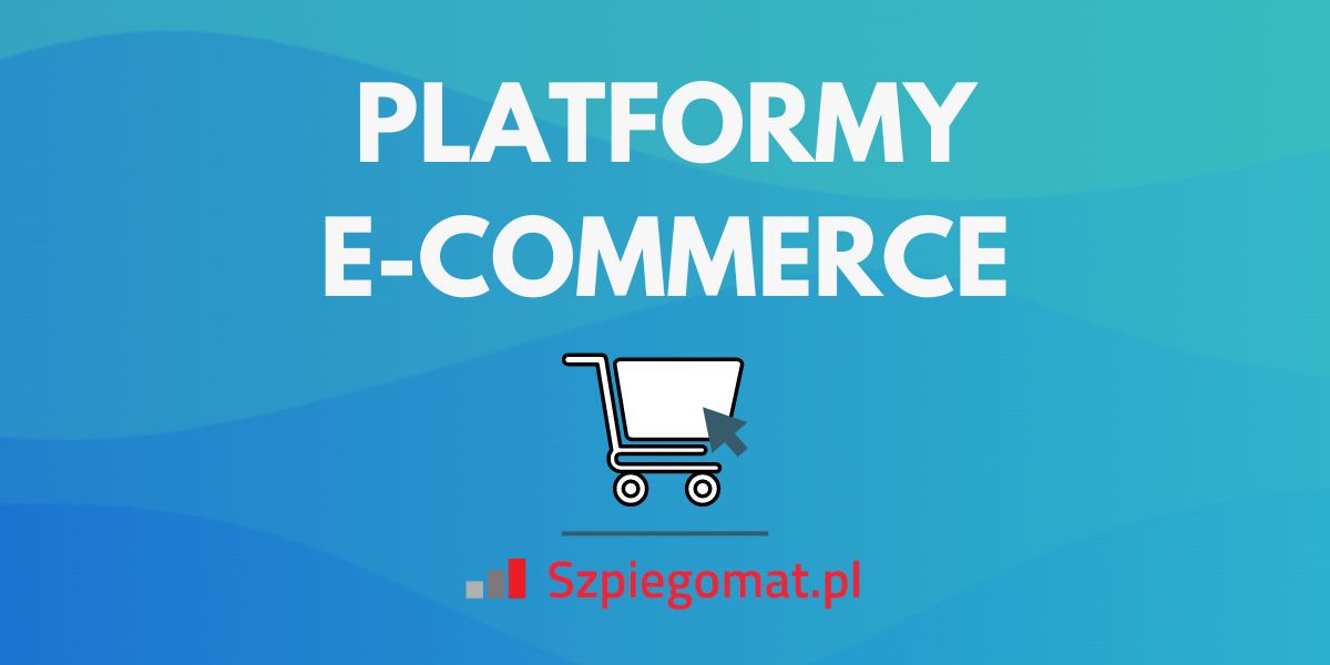 Platformy e-commerce – czym są i jakie są ich rodzaje?